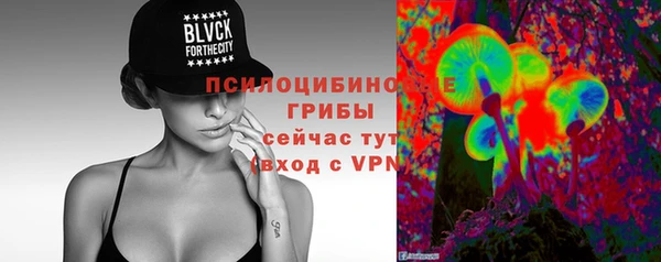 apvp Новозыбков