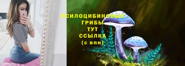 гидра Арсеньев