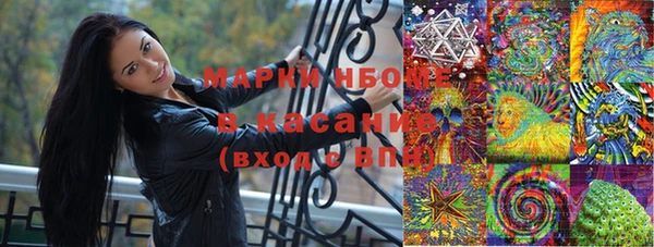 индика Балабаново