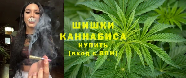 гидра Арсеньев