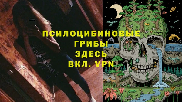 индика Балабаново