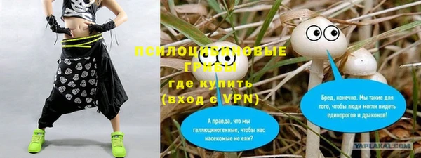 кристаллы Няндома
